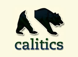 calitics-icon
